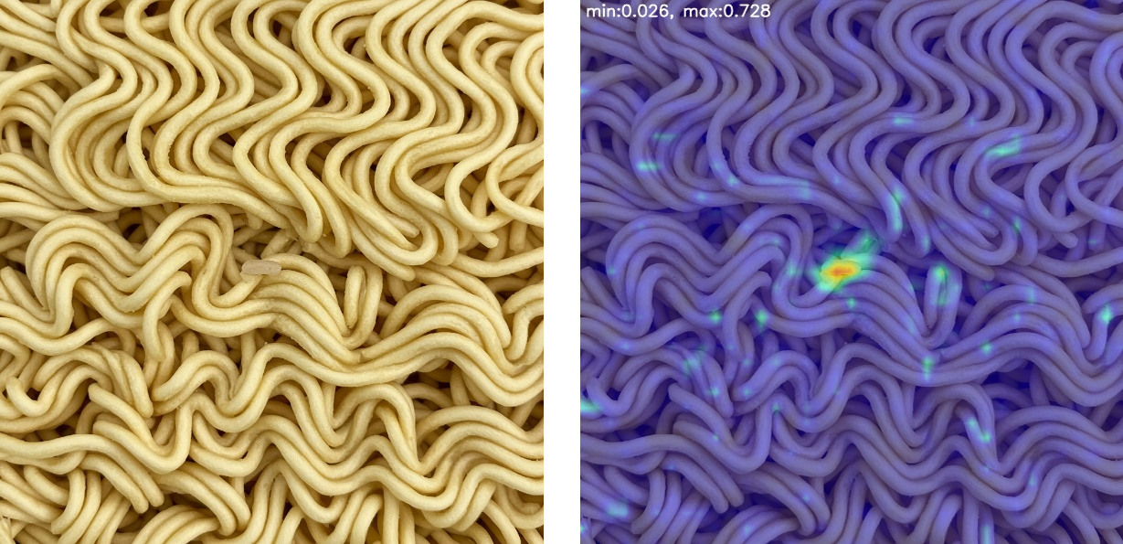Food (Noodles) Inspection