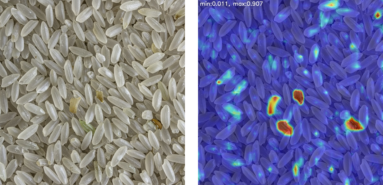 Grain (Rice) Inspection